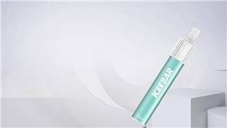 2022 New Model 800 Puffs Vapes