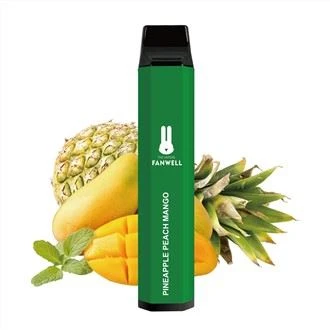 USB Recharing 3000 Puffs Disposable Vape